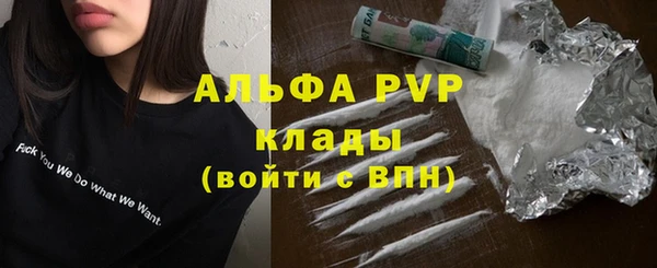 трава Новозыбков