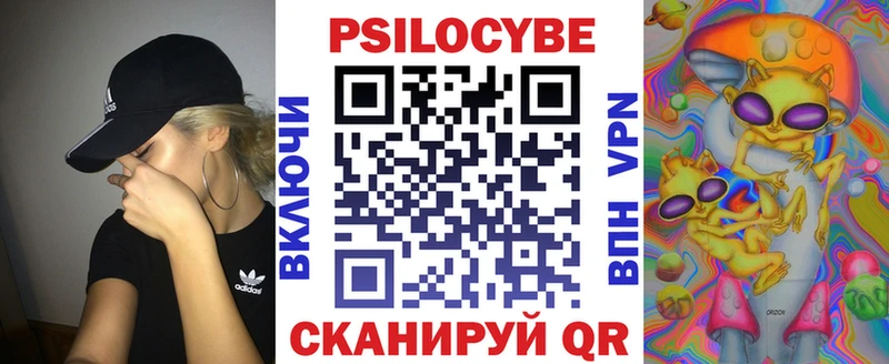 Псилоцибиновые грибы Psilocybine cubensis hydra маркетплейс Циолковский